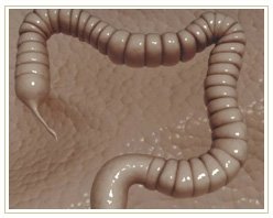 Slider image (6) Adiva | Super Speciality Care